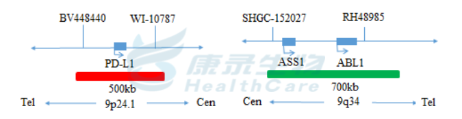 中国·拉斯维加斯(3499·官方认证)网站-Officialwebsite